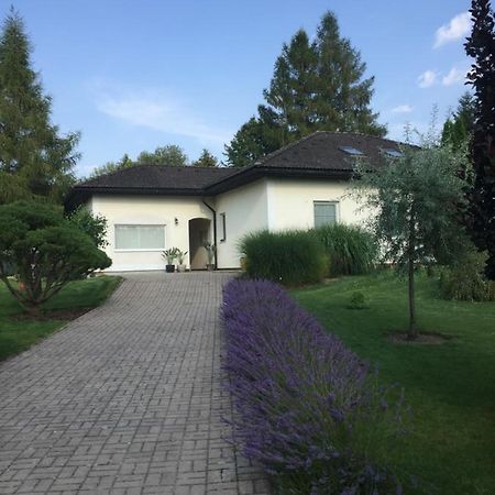 Studiovy Apartman V Zahrade Police nad Metují Buitenkant foto
