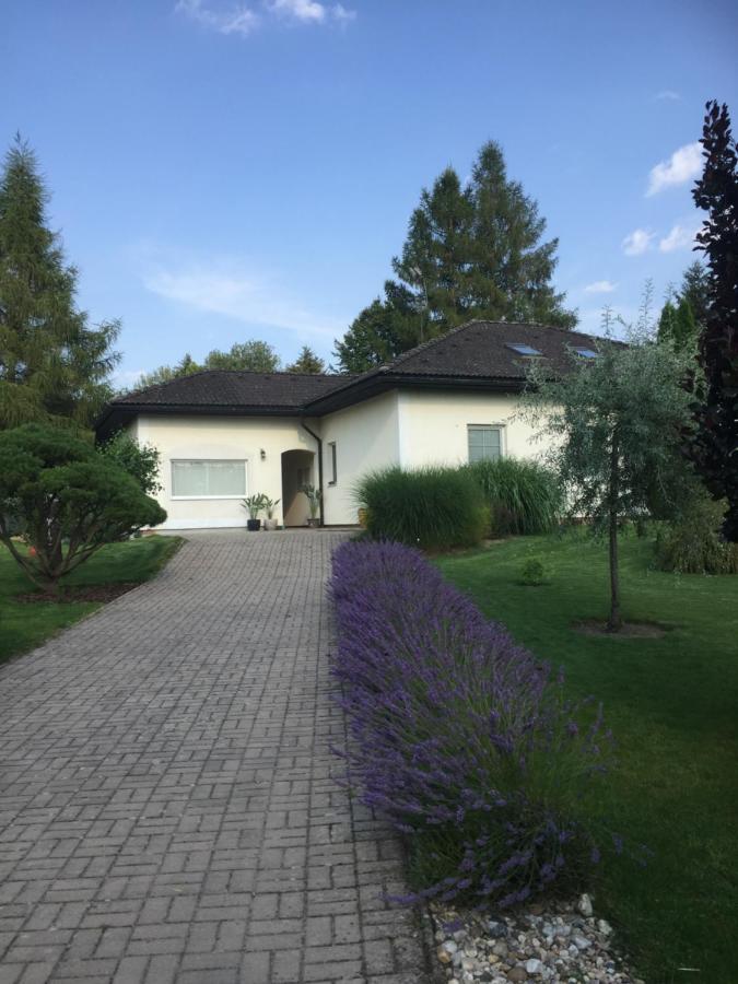 Studiovy Apartman V Zahrade Police nad Metují Buitenkant foto