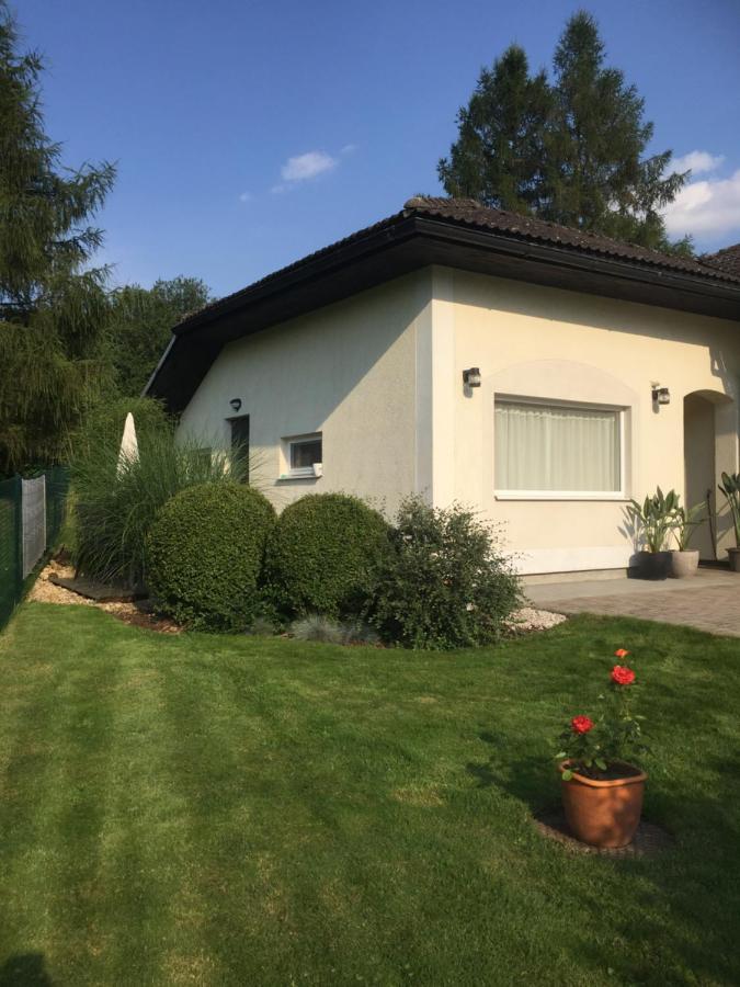 Studiovy Apartman V Zahrade Police nad Metují Buitenkant foto