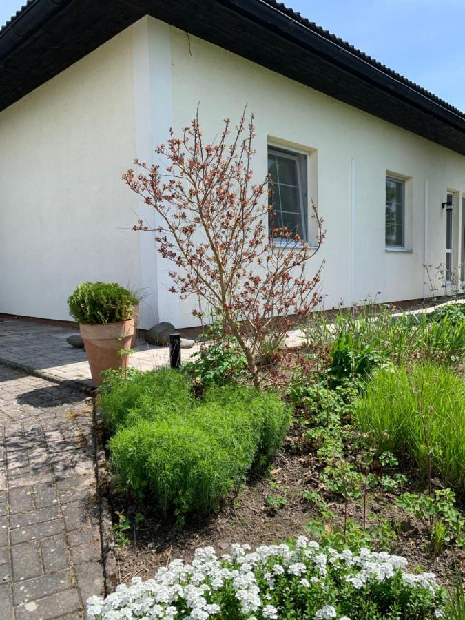 Studiovy Apartman V Zahrade Police nad Metují Buitenkant foto